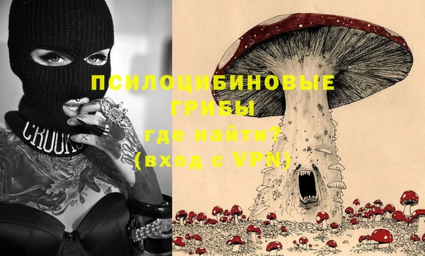 дурь Балахна