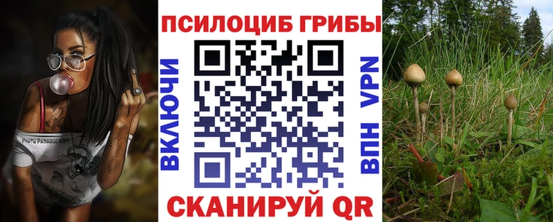 Галлюциногенные грибы MAGIC MUSHROOMS  Купить закладки  Лосино-Петровский 
